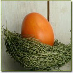 диета Маргариты Королевой - апельсины и яйца 