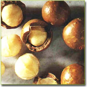 Орехи макадамия - польза, применение