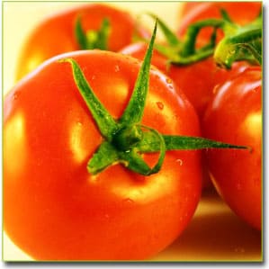 Рецепты с помидорами фото