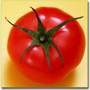 помидор (томат)